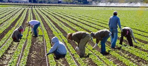 Farm Jobs in Italy